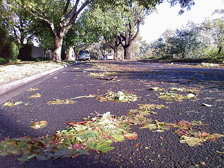 Road debris after the March 2010 hail storm.