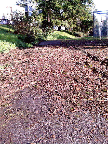 Off-road path covered by debris after the March 2010 hail storm