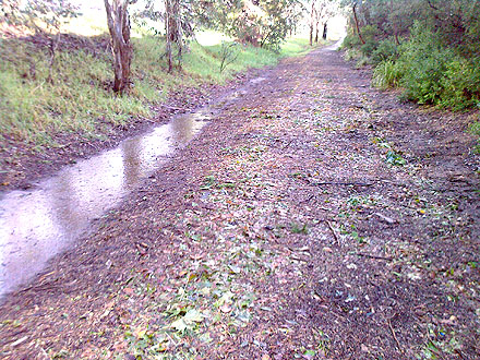 Debris over off-road path after the March 2010 hail storm